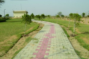 approach road (aerial view)